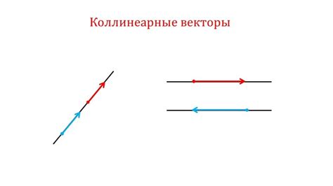 Значение коллинеарности векторов в приложениях