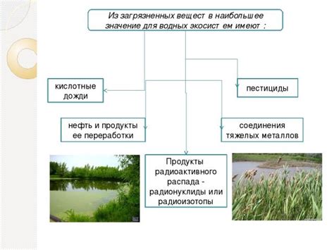 Значение миграции для экосистем