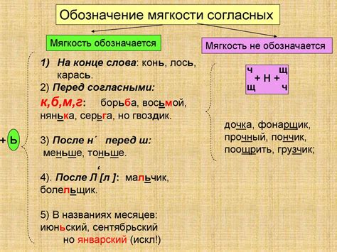 Значение мягкого знака на структуру слов