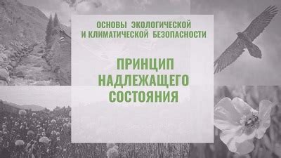 Значение надлежащего состояния колодок