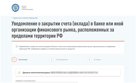 Значение налоговой отчетности при открытии расчетного счета самозанятому