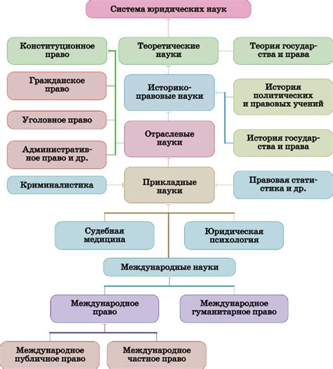 Значение правопреемника в юриспруденции и юридических документах