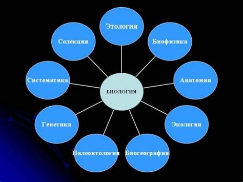 Значение равновесия в биологии и экологии