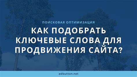 Значение ранговых позиций для роста сайта