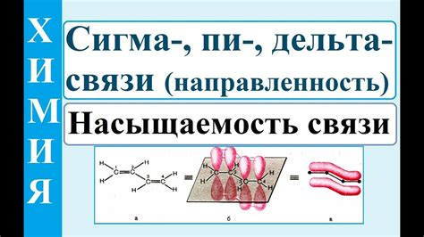 Значение сигма связи в химии