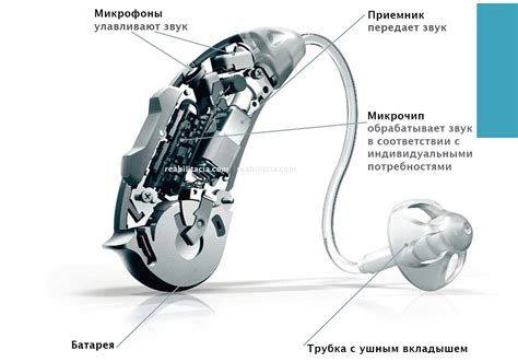 Значение слухового аппарата