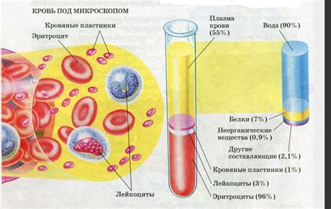 Значение состава крови