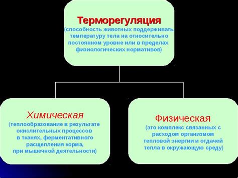 Значение температурного режима для развития хамедореи