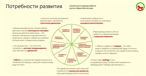 Значение физической активности в развитии когнитивных функций