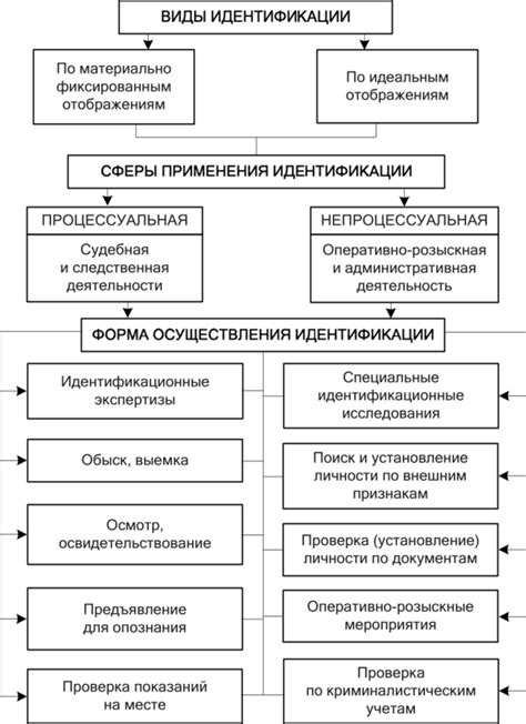 Значение черепной формы для идентификации