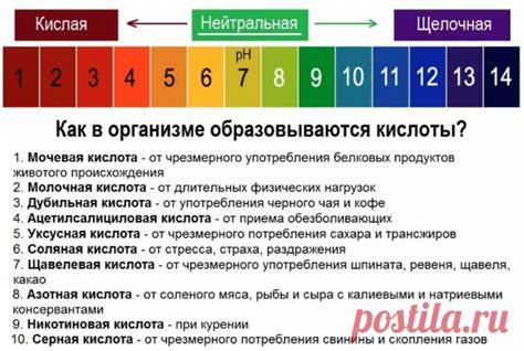 Значение щелочного баланса для здоровья