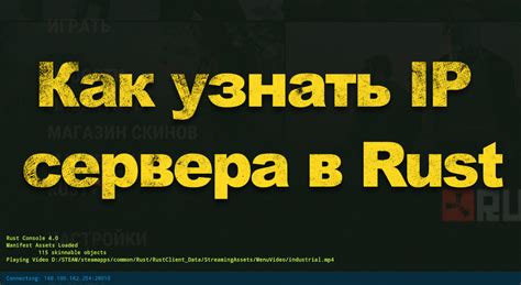 Значимость айпи сервера для веб-разработки