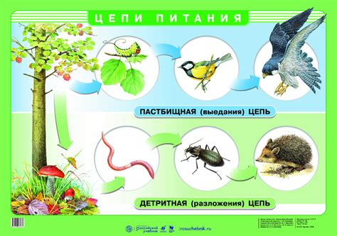 Значимость коротких цепей питания для потребителей