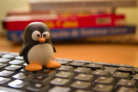 Значимость Linux в мире IT-индустрии