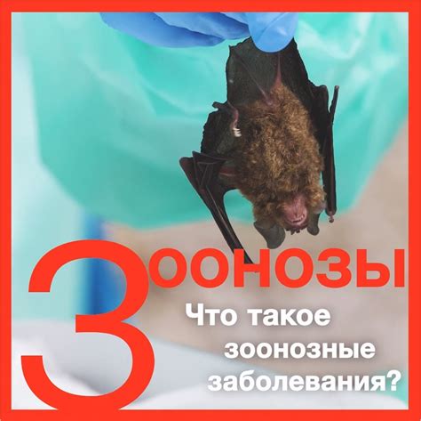 Зоонозные заболевания