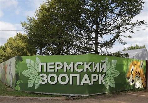 Зоопарк Перми и его вклад в сохранение видов