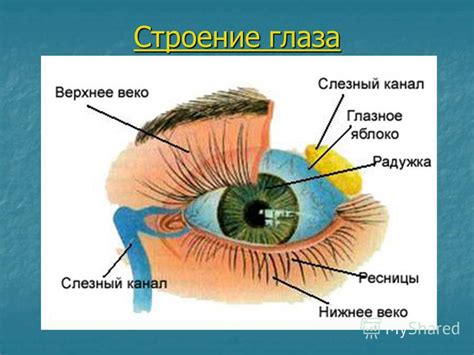 Зрительные проблемы и мигание глаз