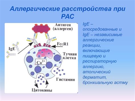 ИгЕ-независимые аллергические реакции