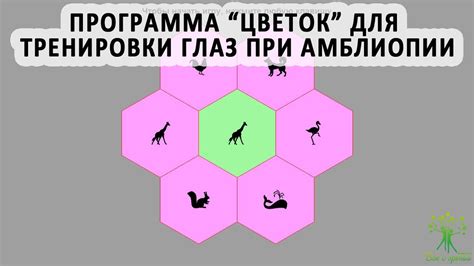 Игра цветами для подчеркивания глаз