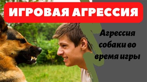 Игровая агрессия и социализация