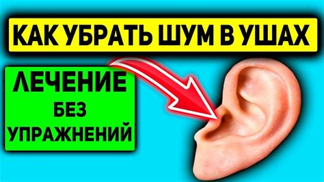 Избавление от эха и шума в WhatsApp