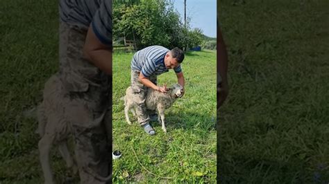 Избегайте выдавливания засоса самостоятельно