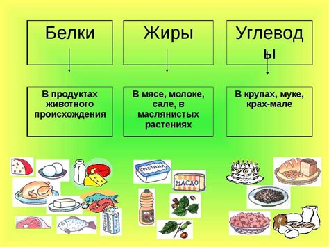 Избегайте столкновений в еде