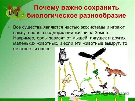 Избегание использования агрессивных химических средств