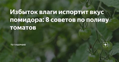 Избыток влаги значительно ухудшает теплоперенос