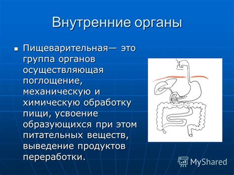 Избыточное поглощение воздуха при поедании пищи