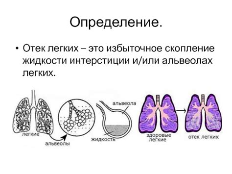 Избыточное скопление шерсти