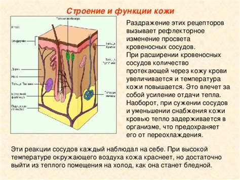 Избыточное тепло и раздражение кожи