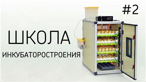 Изготовление корпуса инкубатора