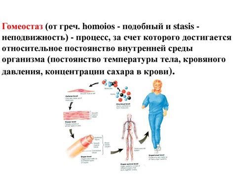 Изменение гомеостаза: ролевые идентификаторы и механизмы