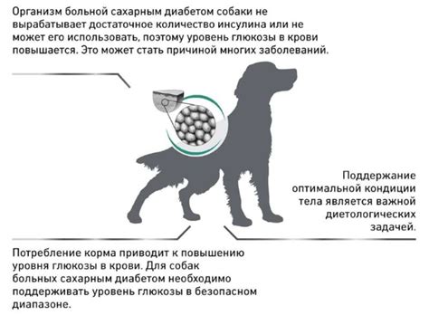 Изменение диеты животных