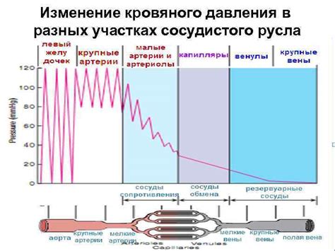 Изменение кровяного давления