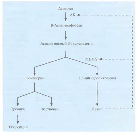 Изменение пищевой базы