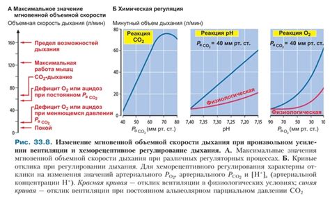 Изменение скорости вентиляции