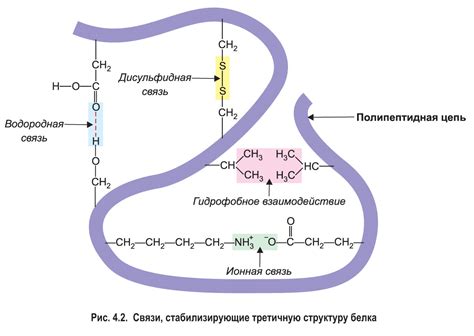 Изменение структуры белков