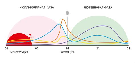 Изменение уровней гормонов