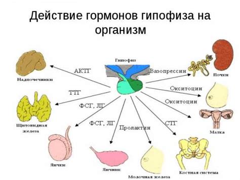 Изменение уровней гормонов в организме