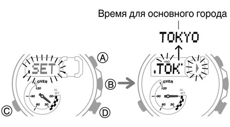 Изменение формата отображения даты рождения