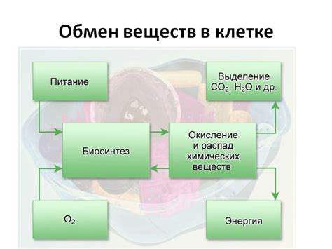 Изменения в кровоснабжении и обмене веществ