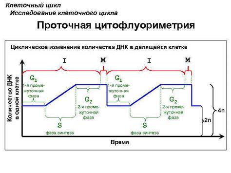 Изменения в названии со временем