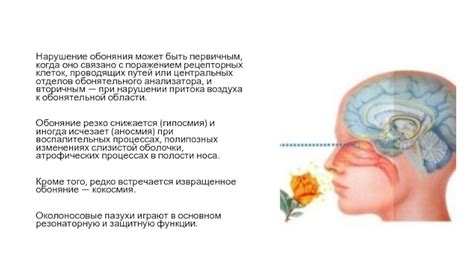 Изменения в обонятельной функции при заложенном носу