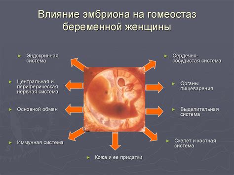 Изменения в организме женщины