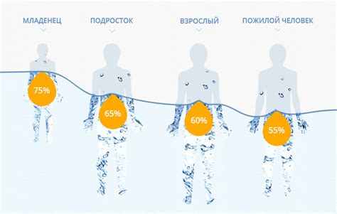 Изменения в организме при употреблении воды после груши