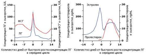 Изменения в фолликулярной фазе цикла