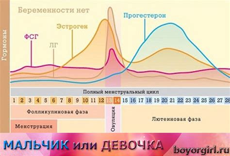 Изменения уровня эстрогена