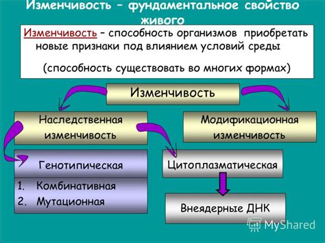 Изменчивость рыночных условий на аукционе